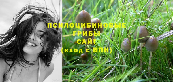 спайс Ладушкин