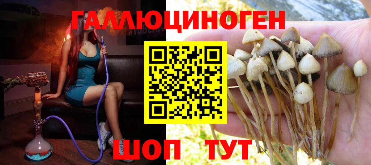 Псилоцибиновые грибы MAGIC MUSHROOMS Мелеуз